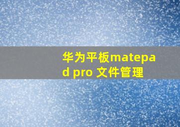 华为平板matepad pro 文件管理